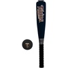Minnesota Twins