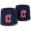 Cleveland Guardians