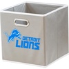 Detroit Lions