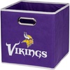 Minnesota Vikings