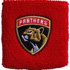 Carolina Panthers