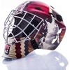 Arizona Coyotes