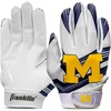 Michigan Wolverines