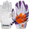 Clemson Tigers
