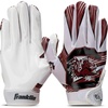South Carolina Gamecocks