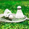 image:imageFranklin Sports Badminton Shuttlecock Set  Sets of 3 6  12 Badminton Birdies  Backyard Outdoor Badminton Shuttlecocks  Plastic Replacement Birdies for Badminton Sets  3 6  12 PacksShuttlecocks  12 Pack