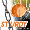 image:imageFranklin Sports Disc Golf Baskets  Portable Disc Golf Target with Chains Included  Disc Golf Basket Stand Equipment for Hole  Course CreationDeluxe Steel Chain