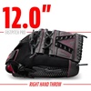 image:imageFranklin Sports Girls Softball GloveWomens Windmill FastpitchSlowpitch Softball GloveRight and Left HandAdultPink