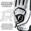 image:imageFranklin Sports Golf Glove  Pro Golf Gloves  Premium Leather Golfing Glove  Maximum Grip  White  BlackPearl Junior  Traditional