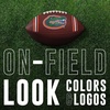image:imageFranklin Sports Kids NCAA Youth Football  Official College Team Football with Team Logos  Junior SizeFlorida Gators