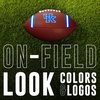image:imageFranklin Sports Kids NCAA Youth Football  Official College Team Football with Team Logos  Junior SizeKentucky Wildcats