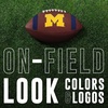 image:imageFranklin Sports Kids NCAA Youth Football  Official College Team Football with Team Logos  Junior SizeMichigan Wolverines