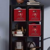 image:imageFranklin Sports NFL Storage Bins  Collapsible Cube Container  Basket  NFL Office Bedroom  Living Room  11x11Tampa Bay Buccaneers
