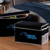 image:imageFranklin Sports NFL Storage Footlocker Bins  Large Folding Organizer Containers  NFL Team Office Bedroom  Living Room Dcor  Large  Small BinsCarolina Panthers