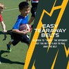 image:imageFranklin Sports NFL Team Flag Football Sets  Belts  Flags  Kids  Adults  Fits Up to 36 Waist  NFL LicensedGreen Bay Packers