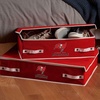 image:imageFranklin Sports NFL Under Bed Storage Bins  Folding Organizer Containers  NFL Team Office Bedroom  Living Room DcorTampa Bay Buccaneers