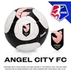 image:imageFranklin Sports NWSL Team Soccer Balls  Soccer Balls for Kids  Adults  Boys  Girls Soccer Balls  Official NWSL Team Soccer Ball  Available in Official Size 5 or Mini Size 1Angel City FC