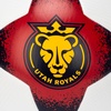 image:imageFranklin Sports NWSL Team Soccer Balls  Soccer Balls for Kids  Adults  Boys  Girls Soccer Balls  Official NWSL Team Soccer Ball  Available in Official Size 5 or Mini Size 1Utah Royals