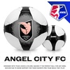 image:imageFranklin Sports NWSL Team Soccer Balls  Soccer Balls for Kids  Adults  Boys  Girls Soccer Balls  Official NWSL Team Soccer Ball  Available in Official Size 5 or Mini Size 1Angel City FC