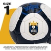 image:imageFranklin Sports NWSL Team Soccer Balls  Soccer Balls for Kids  Adults  Boys  Girls Soccer Balls  Official NWSL Team Soccer Ball  Available in Official Size 5 or Mini Size 1Seattle Reign FC