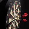 image:imageFranklin Sports Professional Dartboard  18 Regulation SizeBristle Dartboard  Wire Dartboard