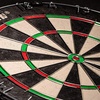 image:imageFranklin Sports Professional Dartboard  18 Regulation SizePro Bristle Blade Dartboard