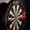 image:imageFranklin Sports Professional Dartboard  18 Regulation SizePro Bristle Blade Dartboard