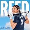 image:imageFranklin Sports USA Softball Womens Batting Gloves Fastpitch  Slowpitch Girls Gloves  Adult  Youth PairsWhiteGold