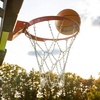 image:imageFranklin SportsBasketball NetSilver