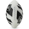 Las Vegas Raiders