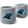 Carolina Panthers
