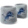 Detroit Lions