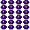 Minnesota Vikings