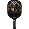 image:imageFranklin Sports Pro Pickleball Paddles  Pro Player Carbon Fiber Tournament Pickleball Paddles  USA Pickleball USAPA Approved  13mm Core13mm