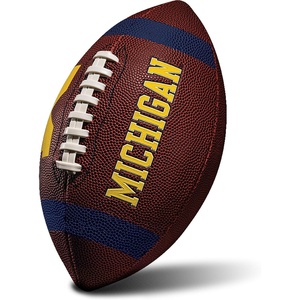 image:imageFranklin Sports Kids NCAA Youth Football  Official College Team Football with Team Logos  Junior SizeMichigan Wolverines