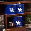 image:imageFranklin Sports NCAA Storage BinKentucky Wildcats