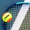 image:imageFranklin Sports Starter Tennis Balls  Pressureless Low Bounce for Beginners  Great for Training  Practice  3 Pack  All Court SurfaceOrange