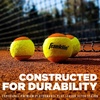 image:imageFranklin Sports Starter Tennis Balls  Pressureless Low Bounce for Beginners  Great for Training  Practice  3 Pack  All Court SurfaceOrange