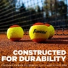 image:imageFranklin Sports Starter Tennis Balls  Pressureless Low Bounce for Beginners  Great for Training  Practice  3 Pack  All Court SurfaceRed
