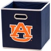 Auburn Tigers
