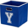 Brigham Young