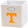 Tennessee volunteers
