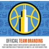 image:imageFranklin Sports WNBA Mini Over the Door Basketball HoopChicago Sky