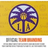image:imageFranklin Sports WNBA Mini Over the Door Basketball HoopLos Angeles Sparks